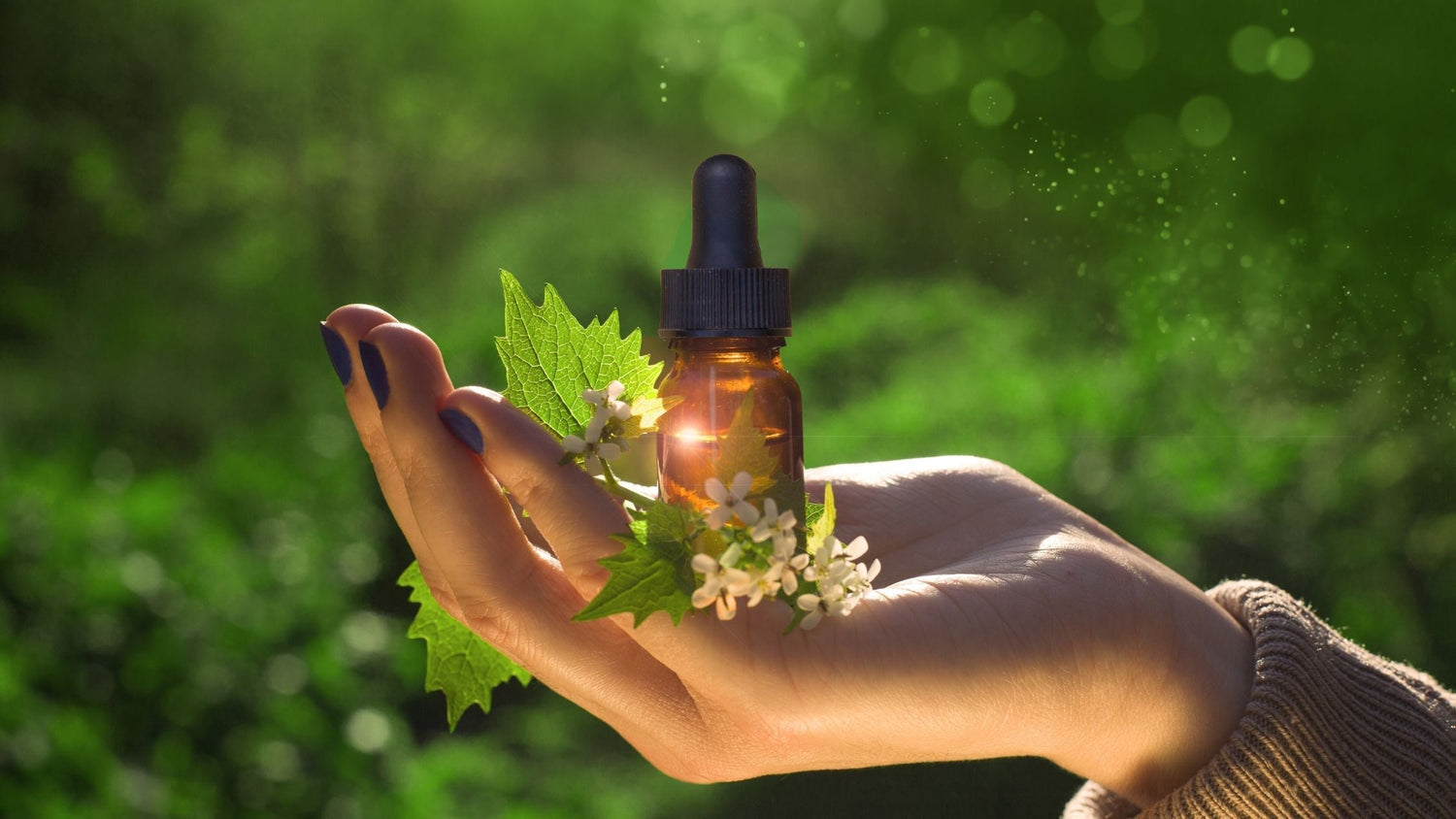 The Science & Soul of Bach Flower Remedies: A Complete Way of Self-Care